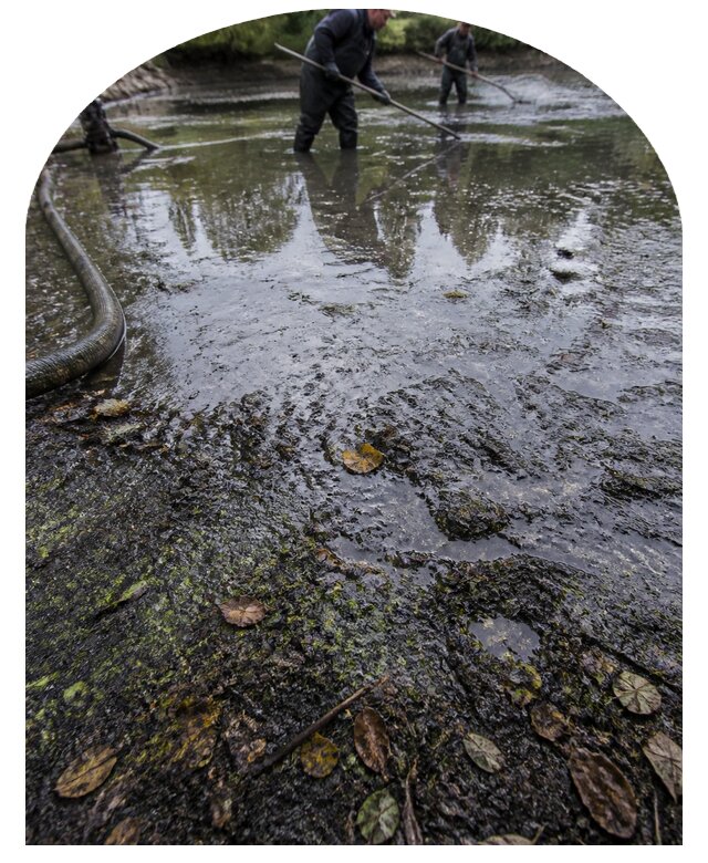 Очистка пруда в Евпатории от ила мусора и водорослей с вывозом